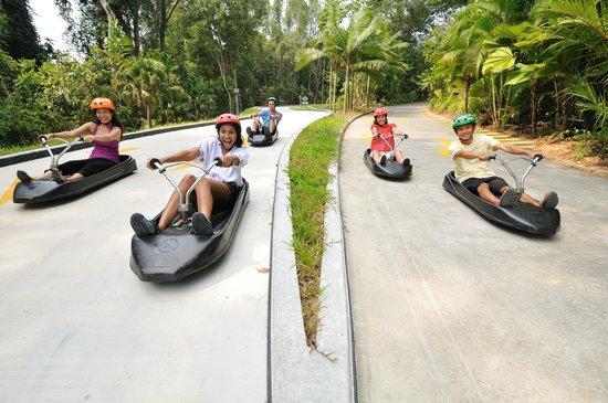 Pista per slittini Skyline Luge Sentosa